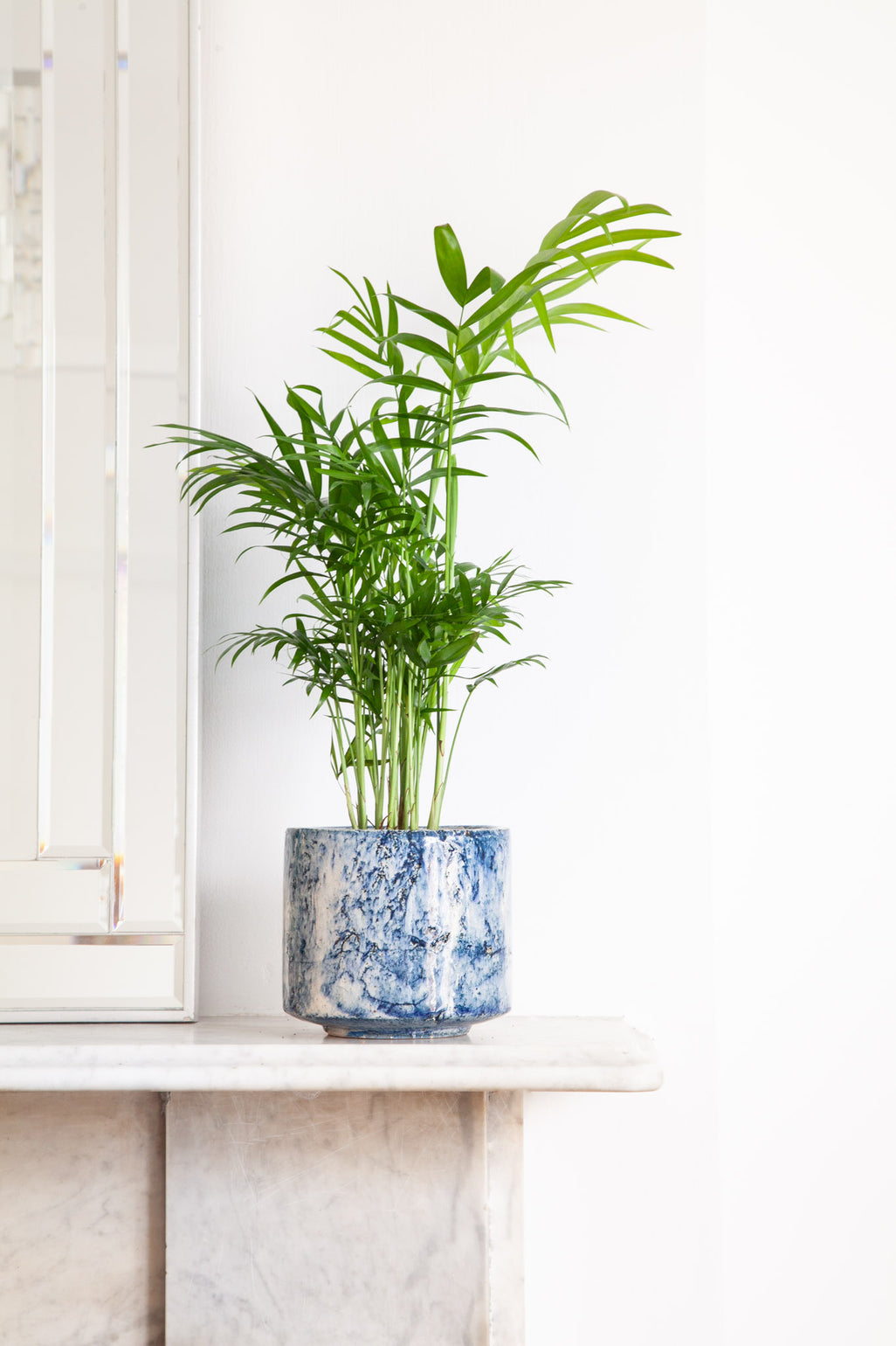 files/IndoorPlants_2-JamieShots20.11.2023-114.jpg